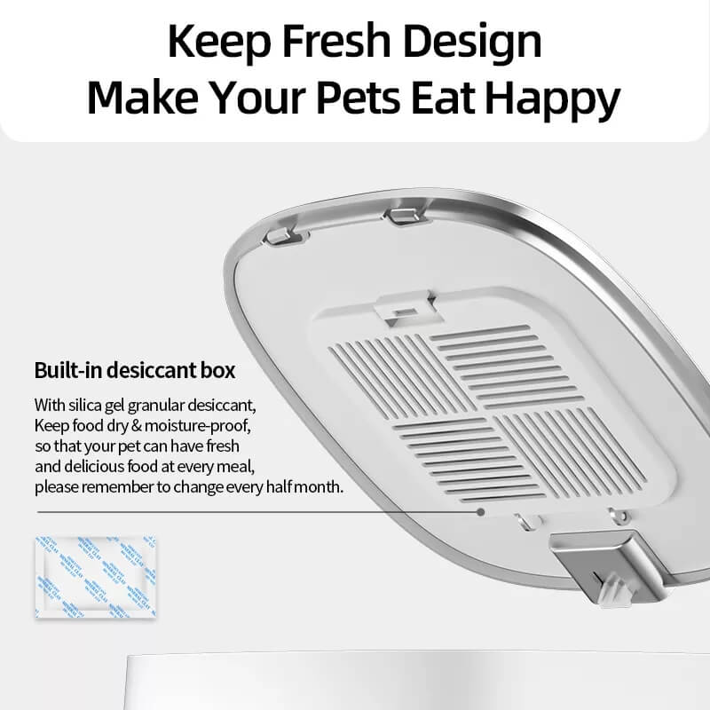 Automatic Pet Cat Feeder - 4L Capacity