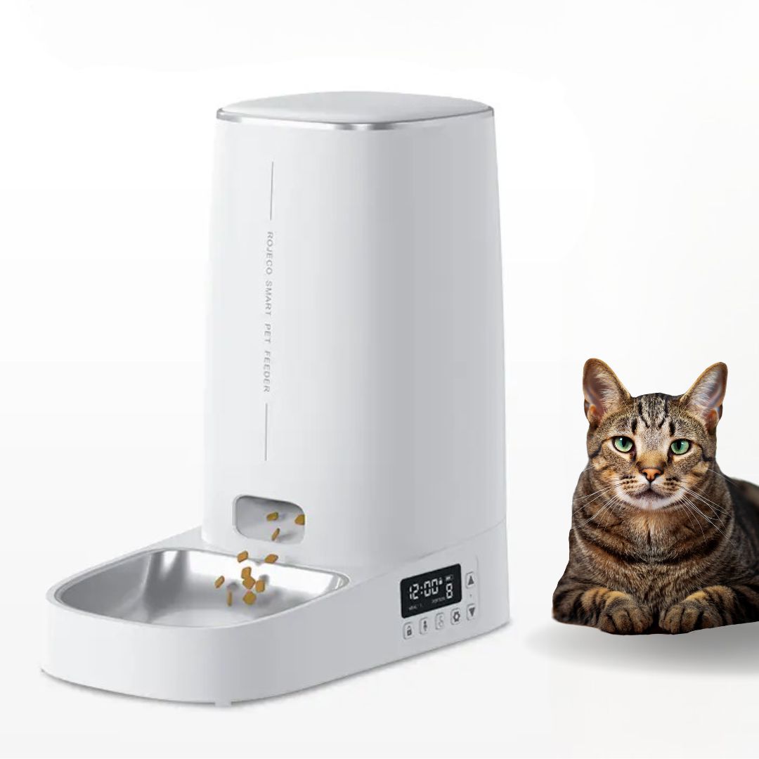 Automatic Pet Cat Feeder - 4L Capacity