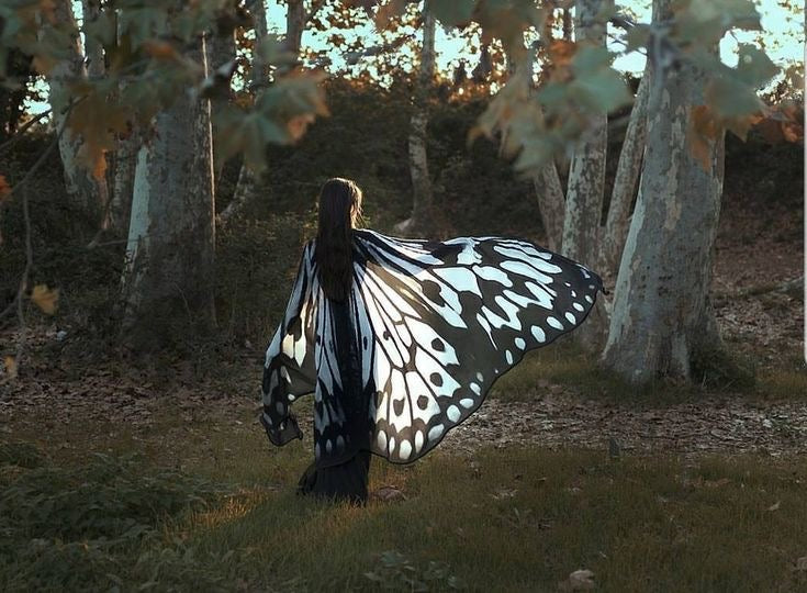 Butterfly Wings Cape Costume