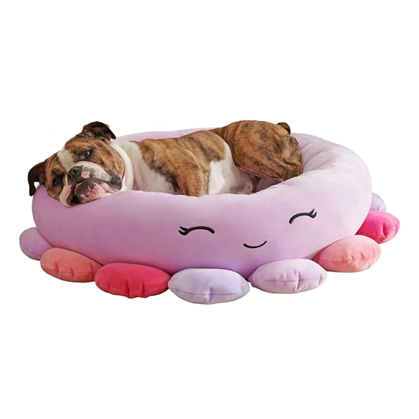 Cat & Dog Squishmallows Bed