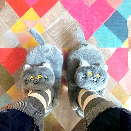 Cat Slippers