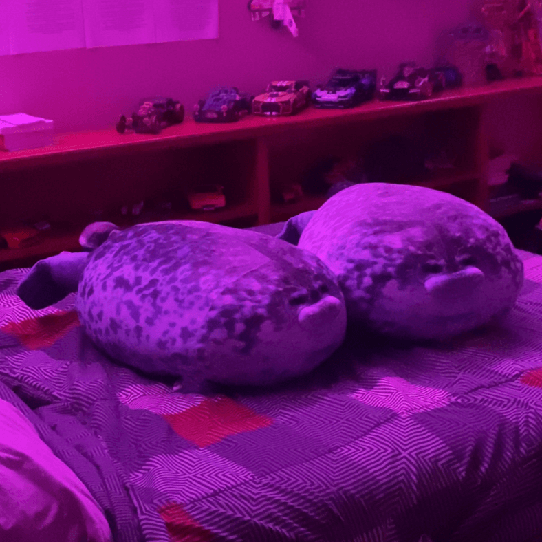 Chubby Seal Plush