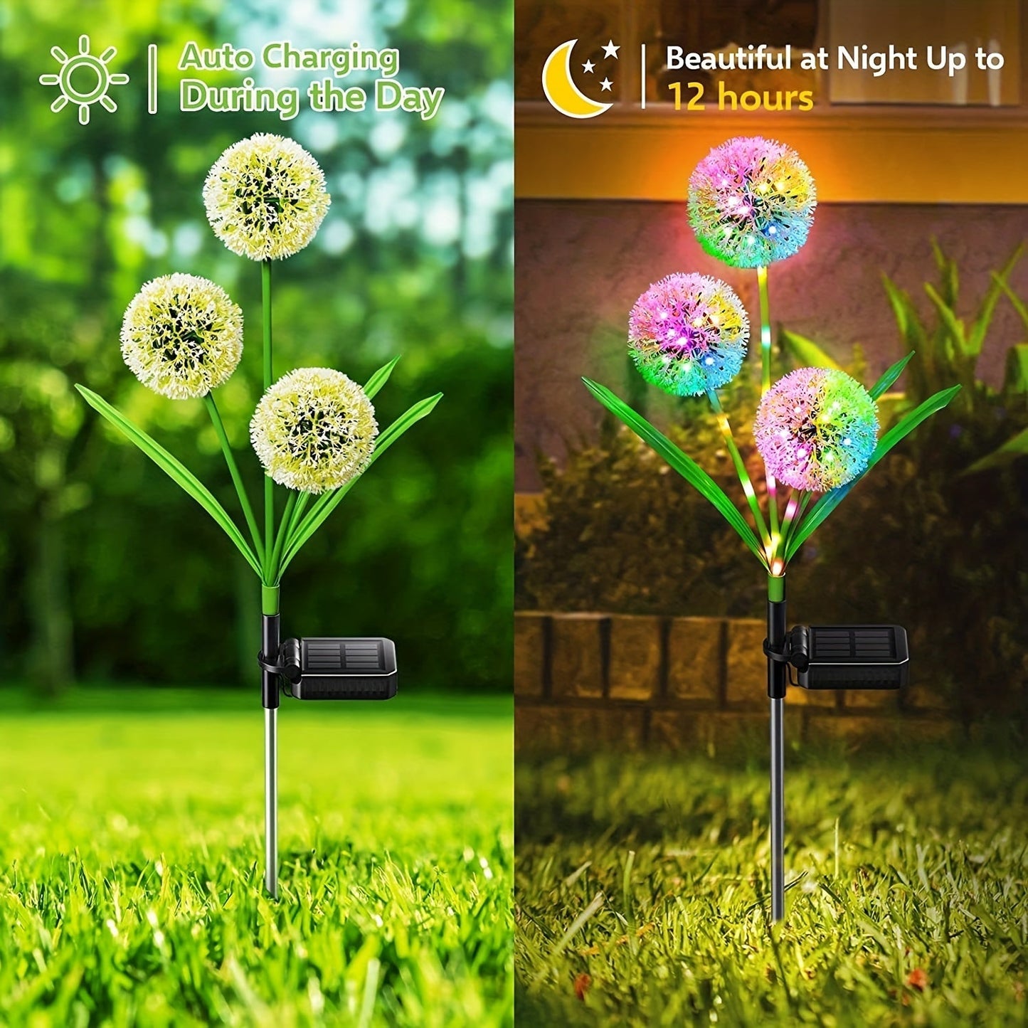 Dandelion Solar Light