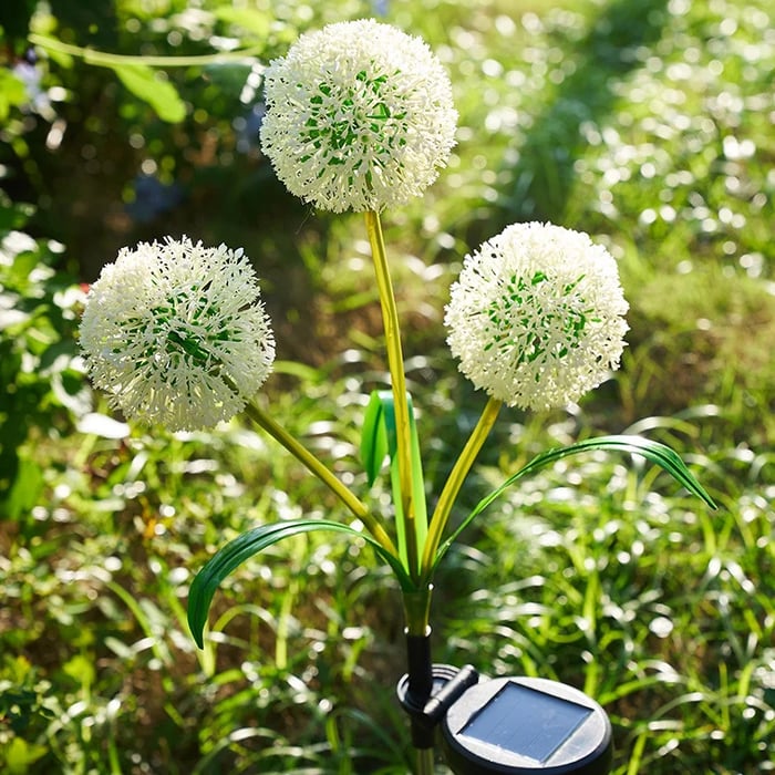 Dandelion Solar Light