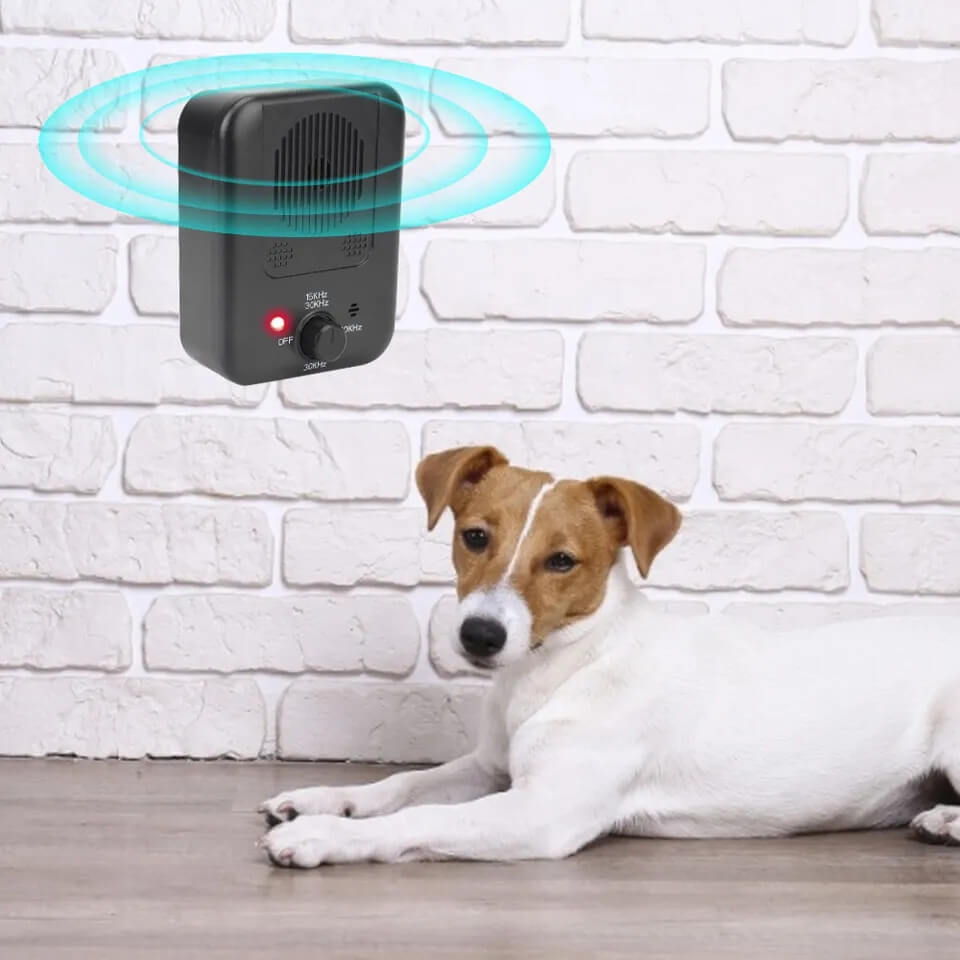 Dog Anti Barking Device