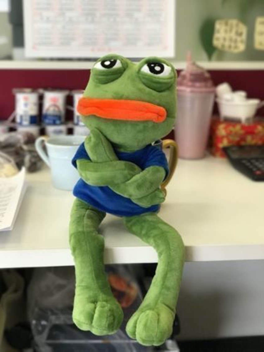 Sad Pepe Frog Plush