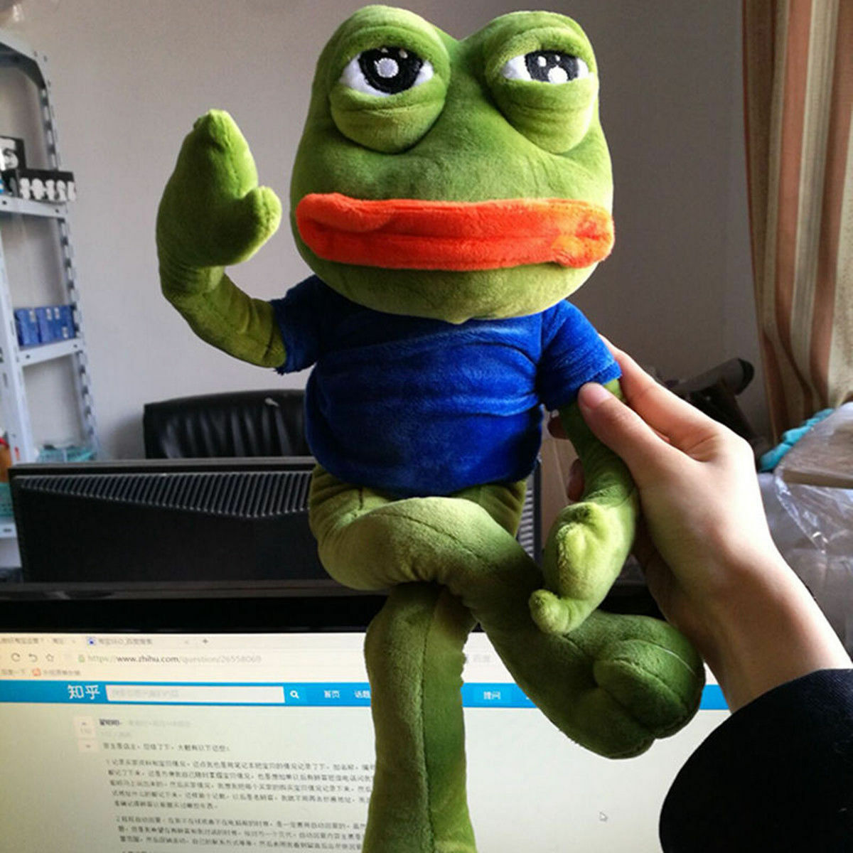 Sad Pepe Frog Plush