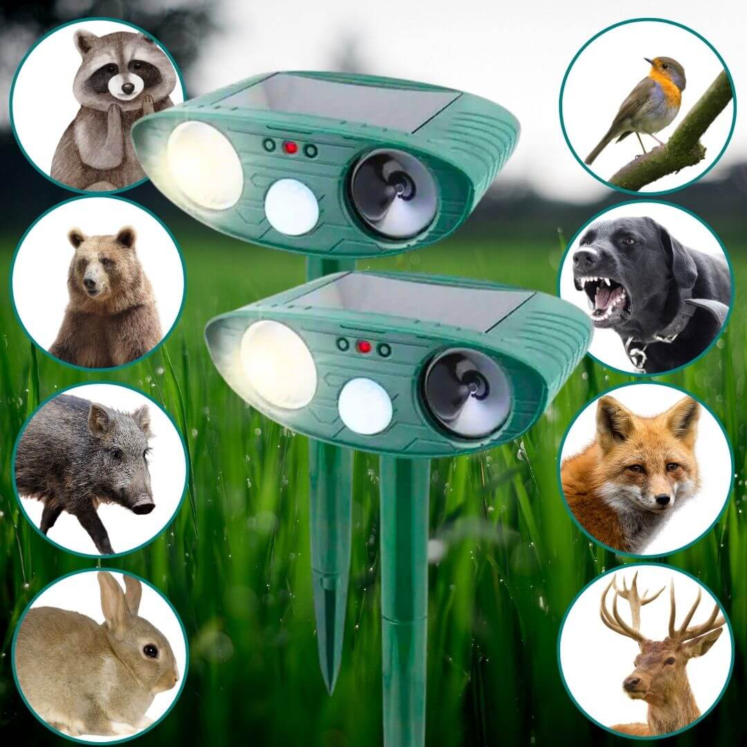 Solar Powered Animal Pest Repeller