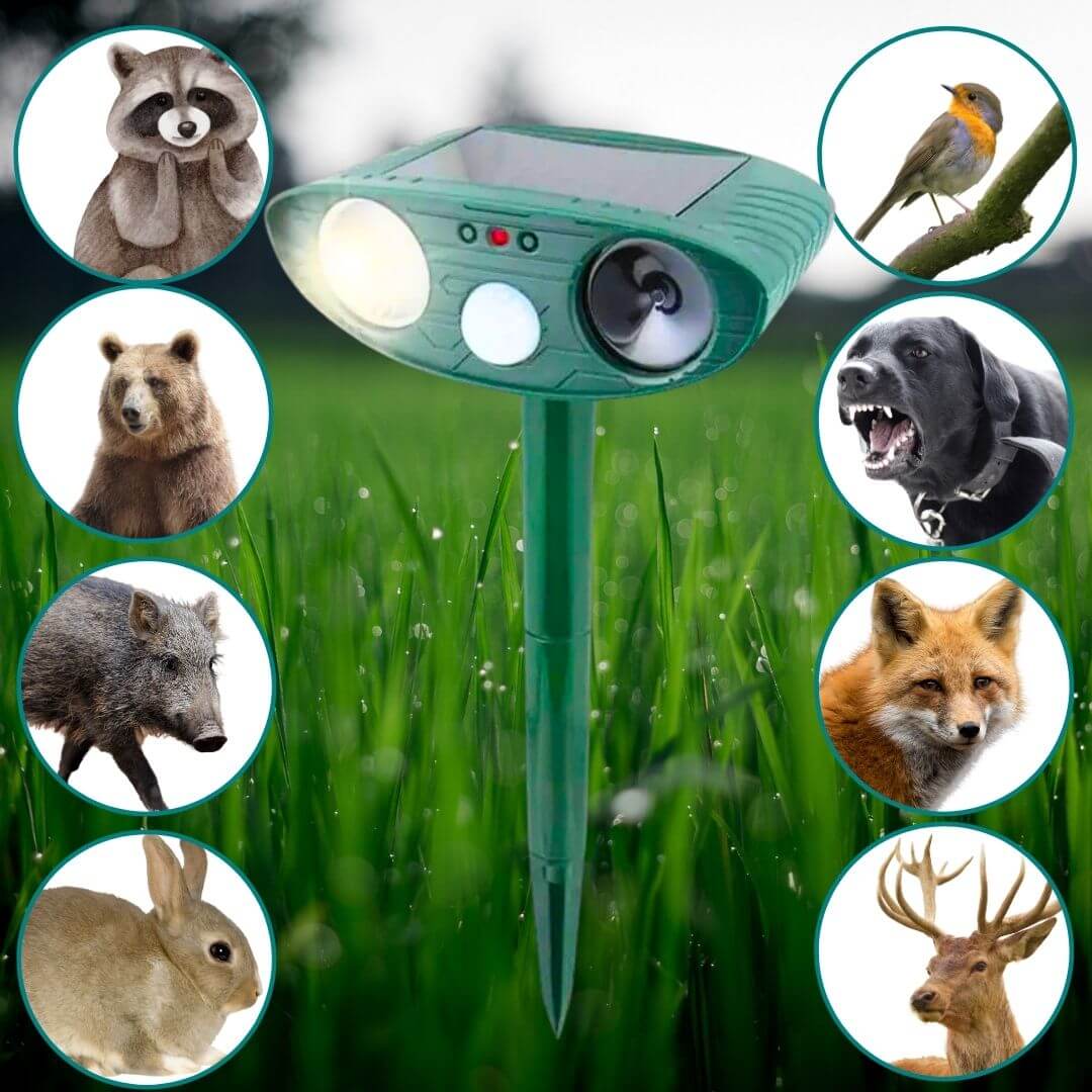 Solar Powered Animal Pest Repeller