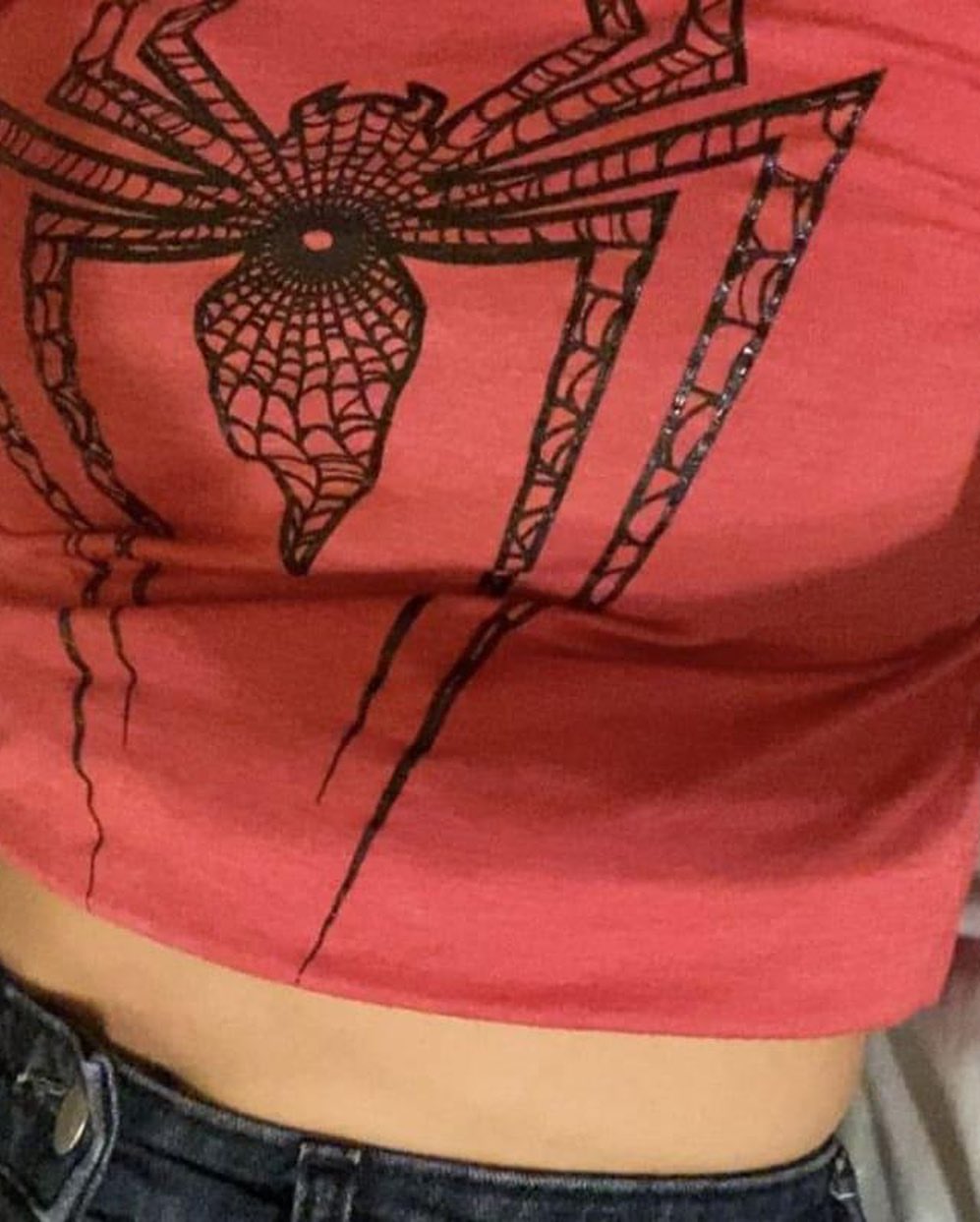 Spider Graphic Crop Top