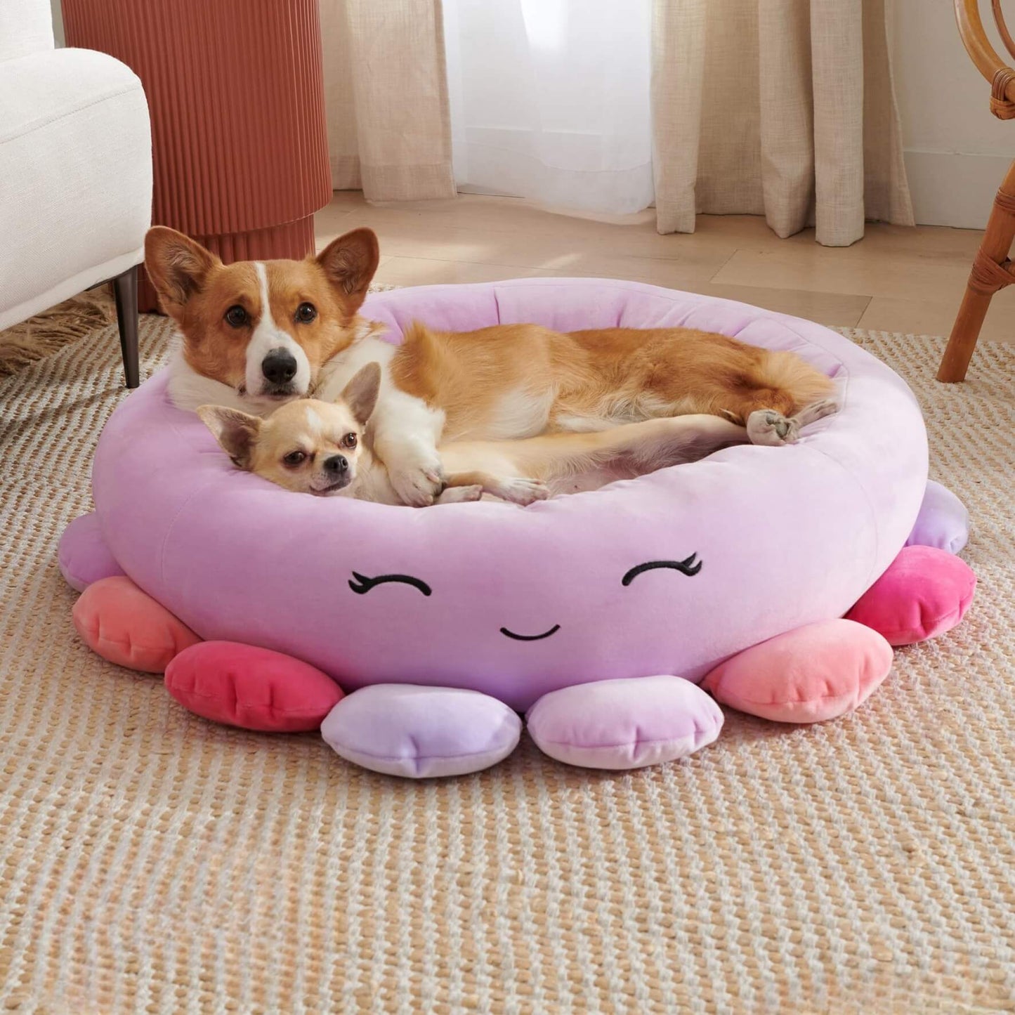 Squishmallow Cat Bed