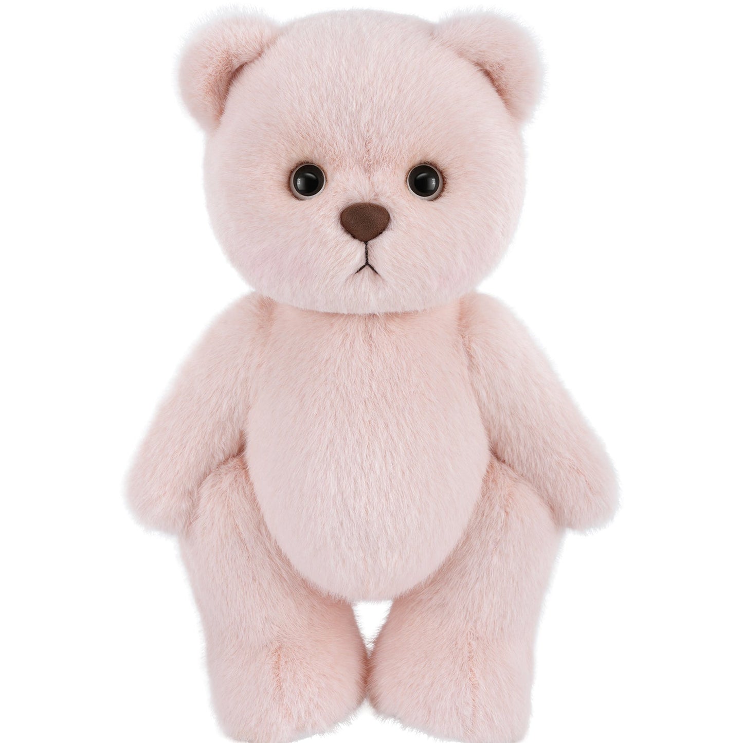 Teddy Tale Bear