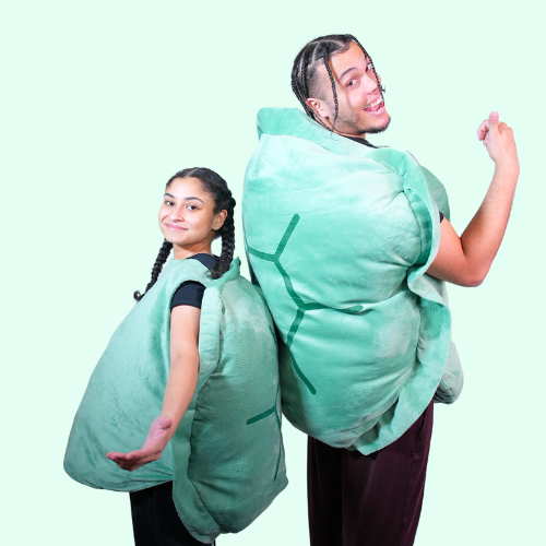 Turtle Shell Wearable Pillow