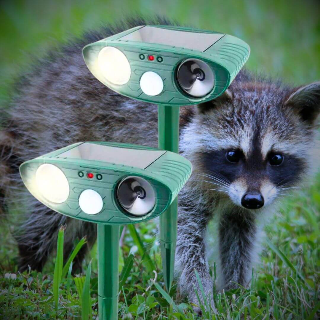 Ultrasonic Racoon Repeller