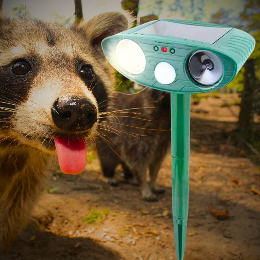 Ultrasonic Racoon Repeller