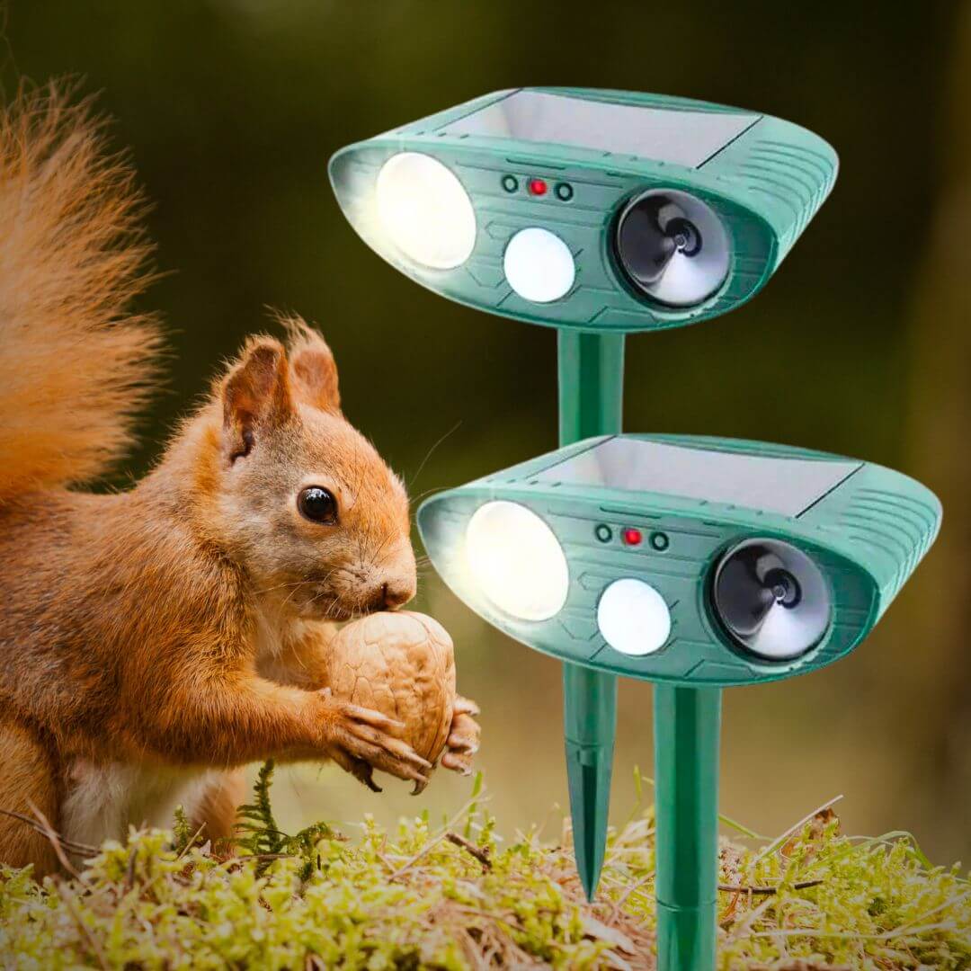 Ultrasonic Squirrel Repeller