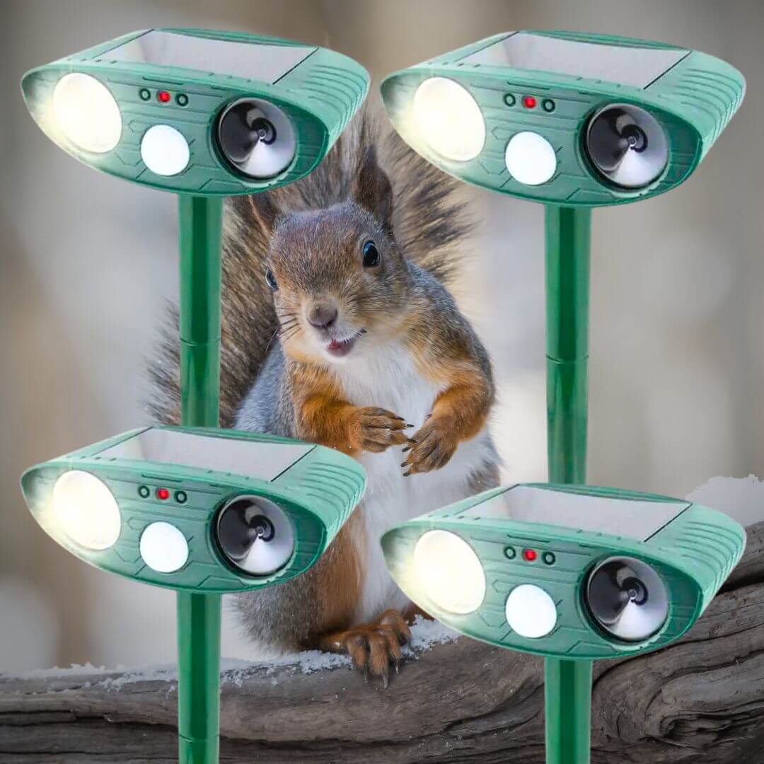 Ultrasonic Squirrel Repeller